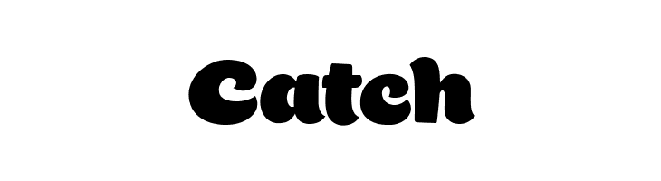 Bigfat Script  Free Fonts Download