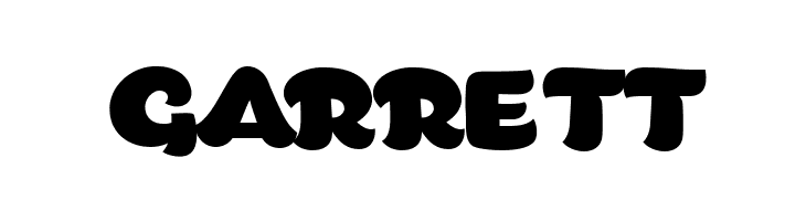 Bigfat Script  Free Fonts Download