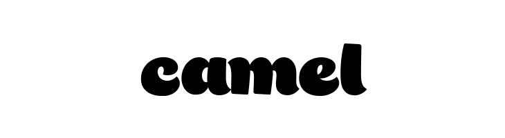 Bigfat Script  Free Fonts Download
