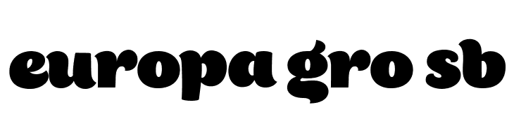 Bigfat Script  Free Fonts Download