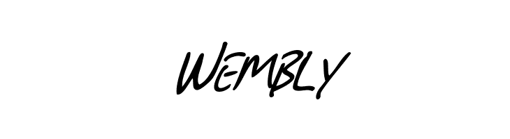 SF Grunge Sans SC Italic  Free Fonts Download