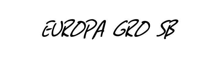 SF Grunge Sans SC Italic  Free Fonts Download