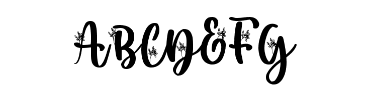 Secret Nature  Free Fonts Download