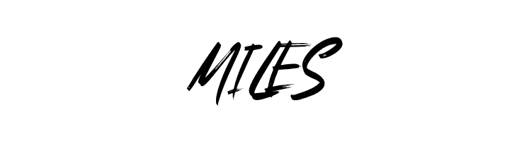 Bright Lantern  Free Fonts Download