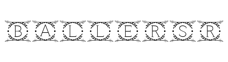 Cruncho Monogram  Free Fonts Download