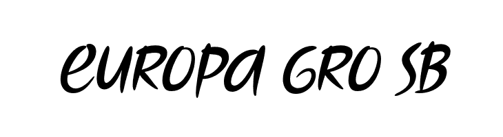 TouchOverNext-Italic  Free Fonts Download