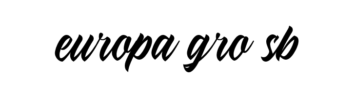 The Rich Family  Free Fonts Download