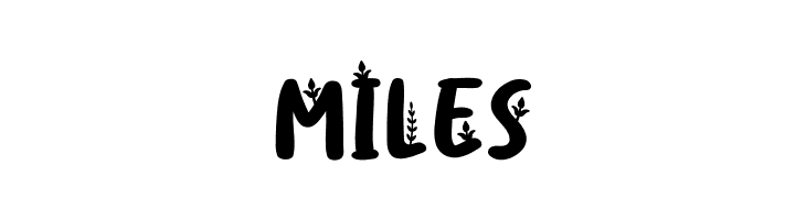 Fllorida FREE  Free Fonts Download