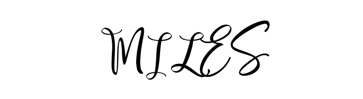 Bread Store  Free Fonts Download