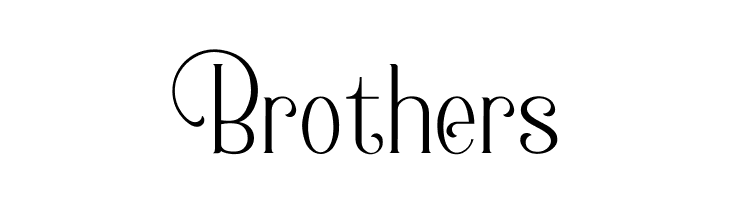 Berlin Collection  Free Fonts Download