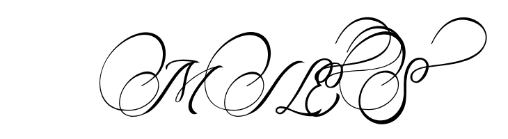 Amorista  Free Fonts Download