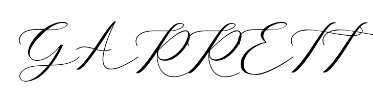 Belights  Free Fonts Download