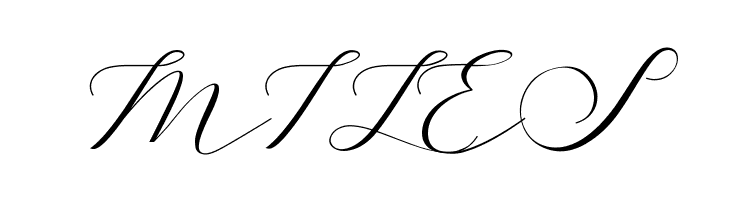 Belights  Free Fonts Download