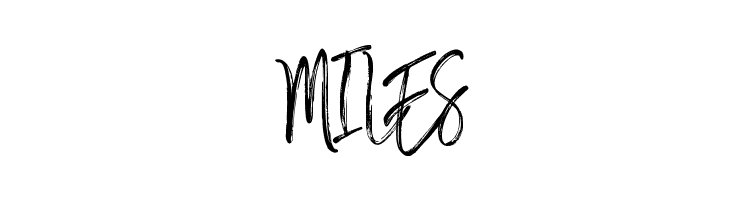 Bastian Sidney  Free Fonts Download