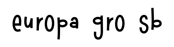 Raccoon Demo  Free Fonts Download