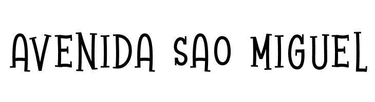 Raccoon Serif Demo  Free Fonts Download