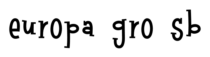 Raccoon Serif Demo  Free Fonts Download