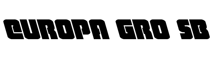 Heavy Falcon Leftalic  Free Fonts Download