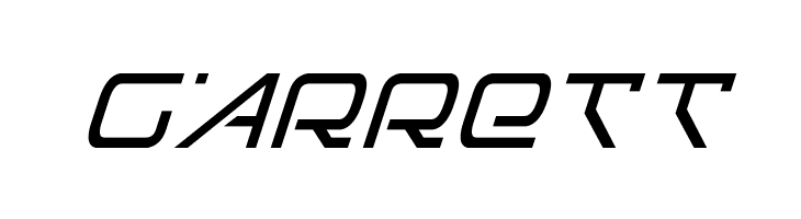 Foreign Alien Italic  Free Fonts Download