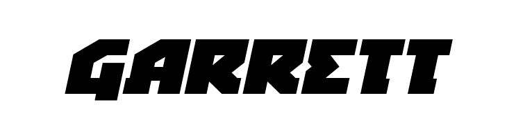 Arctic Guardian Expanded Italic  Free Fonts Download