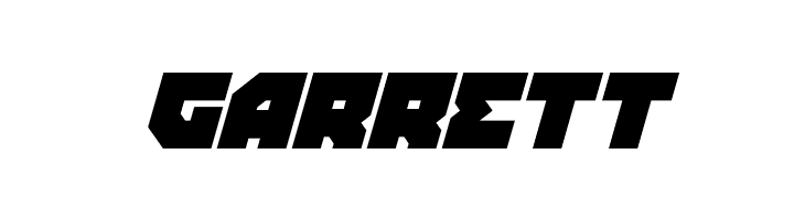 Dark Hornet Italic  Free Fonts Download