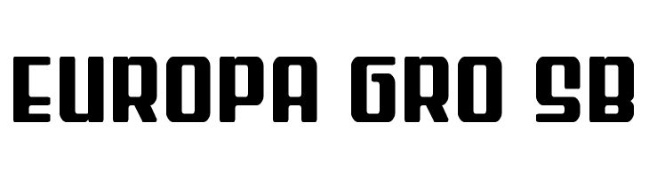 Wave Warrior Spaced  Free Fonts Download