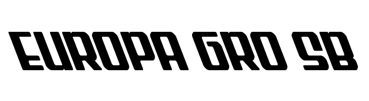 Wave Warrior Super-Leftalic  Free Fonts Download