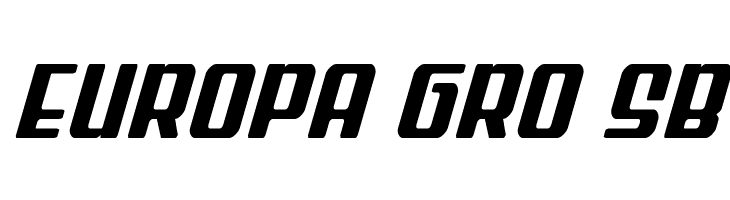 Wave Warrior Spaced Italic  Free Fonts Download