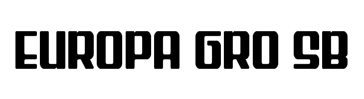 Wave Warrior  Free Fonts Download