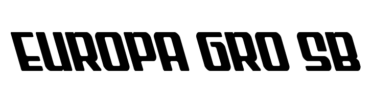 Wave Warrior Leftalic  Free Fonts Download