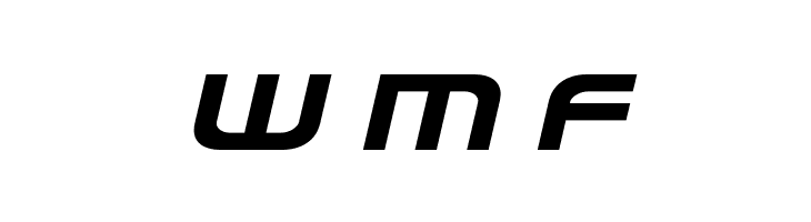 Omega Flight Expanded Italic  Free Fonts Download