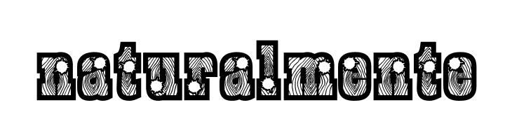 BurrisShootout  Free Fonts Download