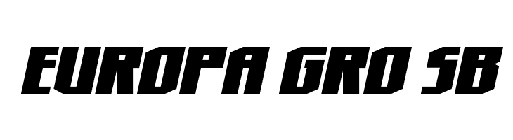 Hero Worship Italic  Free Fonts Download