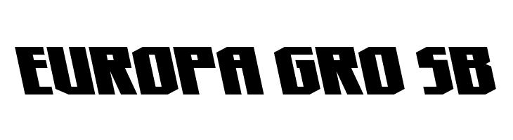 Hero Worship Leftalic  Free Fonts Download