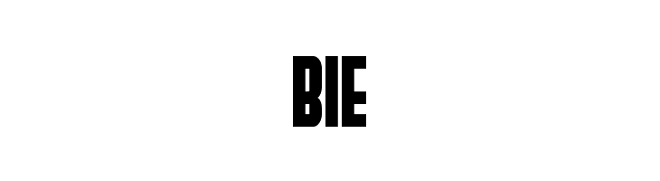 Peace & Houston Extra Bold  Free Fonts Download