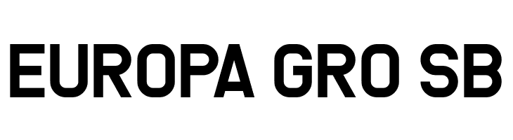 We Are Survivors  Free Fonts Download