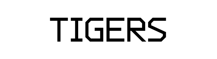 Charge Vector Bold  Free Fonts Download
