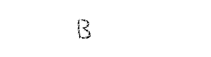Ant  Free Fonts Download