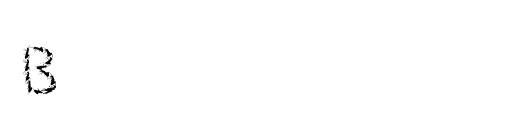 Ant  Free Fonts Download