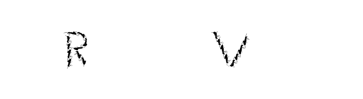 Ant  Free Fonts Download