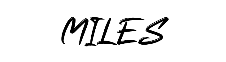 Hessthicc  Free Fonts Download