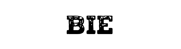The Lake House  Free Fonts Download