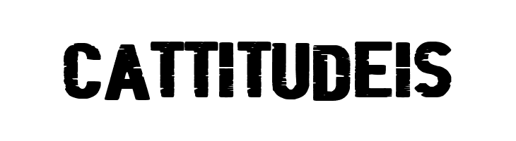 Black Folder  Free Fonts Download