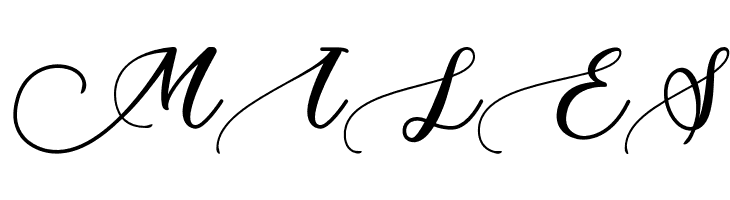 Ants Valley - Personal Use  Free Fonts Download