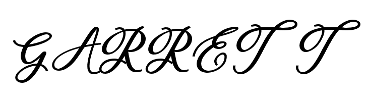 delightful-script  Free Fonts Download