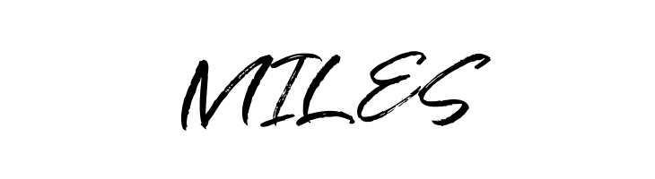 Antam  Free Fonts Download