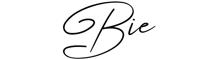 Angers Script  Free Fonts Download