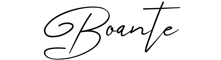 Angers Script  Free Fonts Download