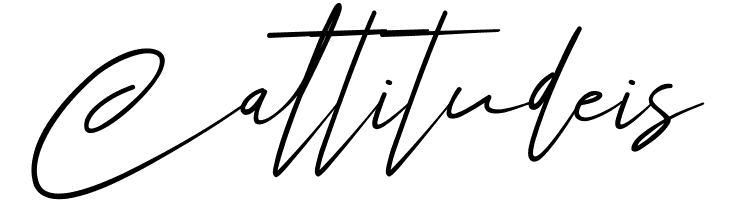 Angers Script  Free Fonts Download