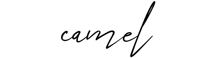 Angers Script  Free Fonts Download